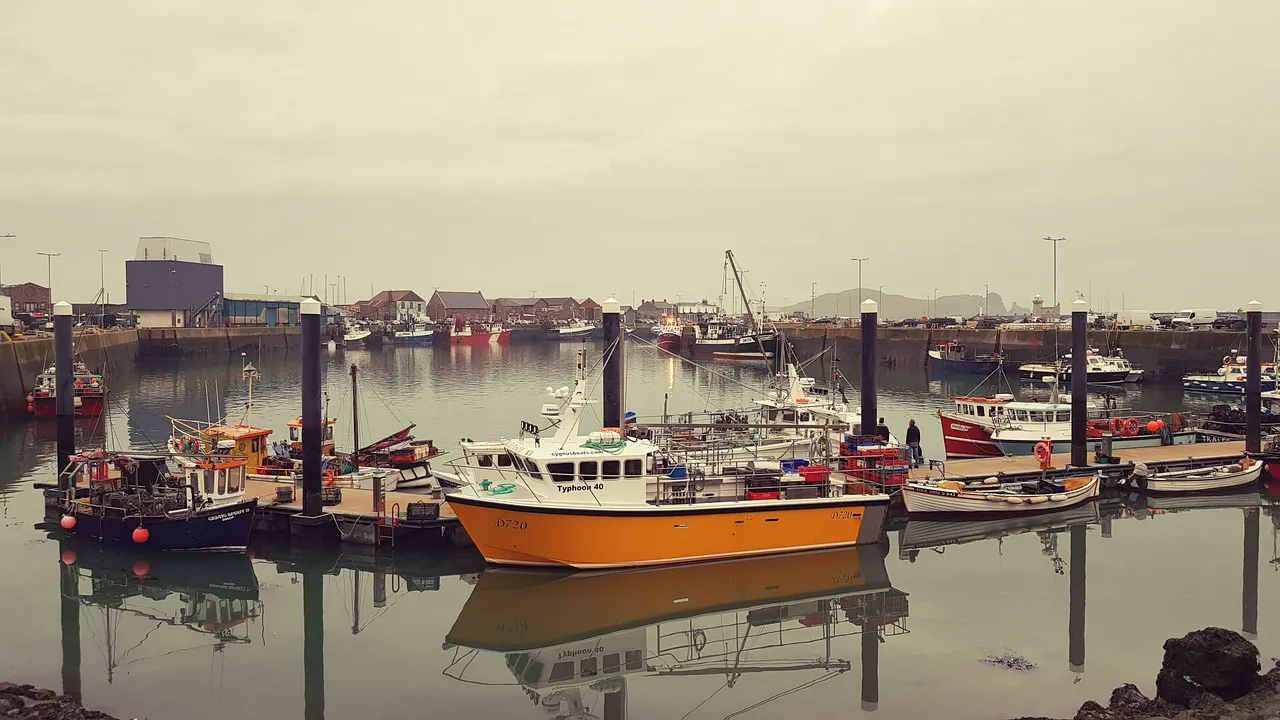 Howth cliffs Dublin
